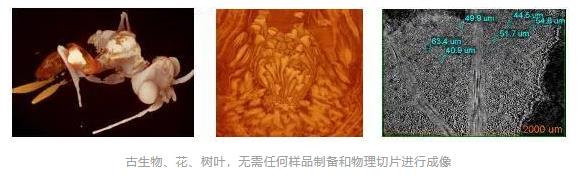 1607760842641984.jpg 360截图20201212161400223.jpg